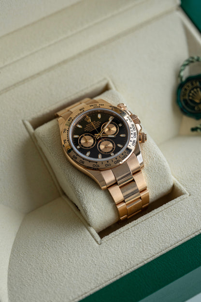 Rolex Daytona "Everose cadran noir" ref.116505